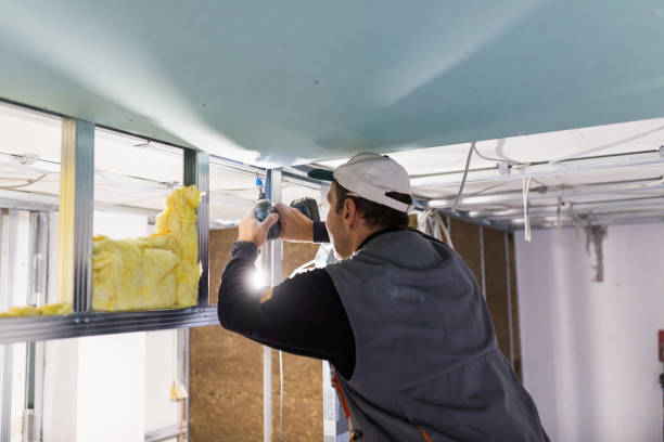 Best Professional Insulation Contractor  in Dunmore, PA