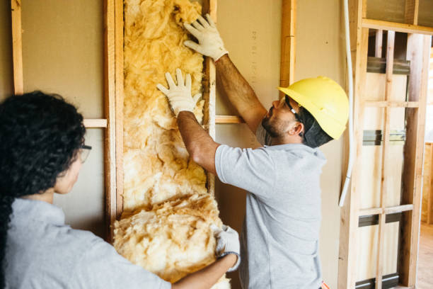 Best Affordable Insulation Services  in Dunmore, PA