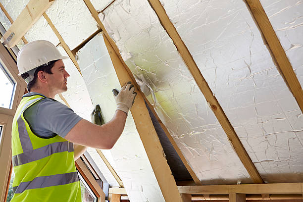 Best Insulation Removal  in Dunmore, PA
