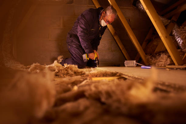 Best Insulation Removal  in Dunmore, PA