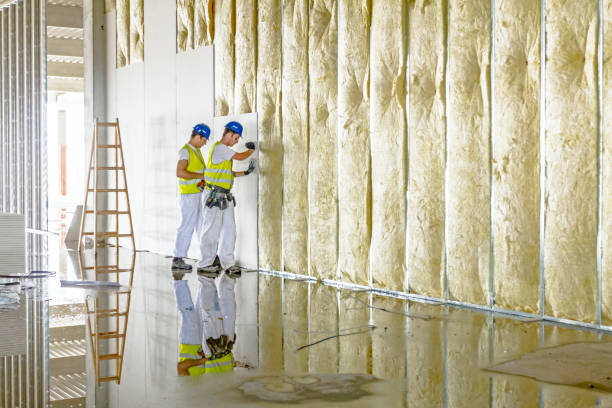 Best Energy-efficient Insulation  in Dunmore, PA